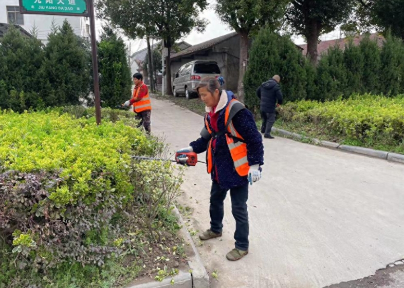 园林绿化养护管理的环节与养护措施